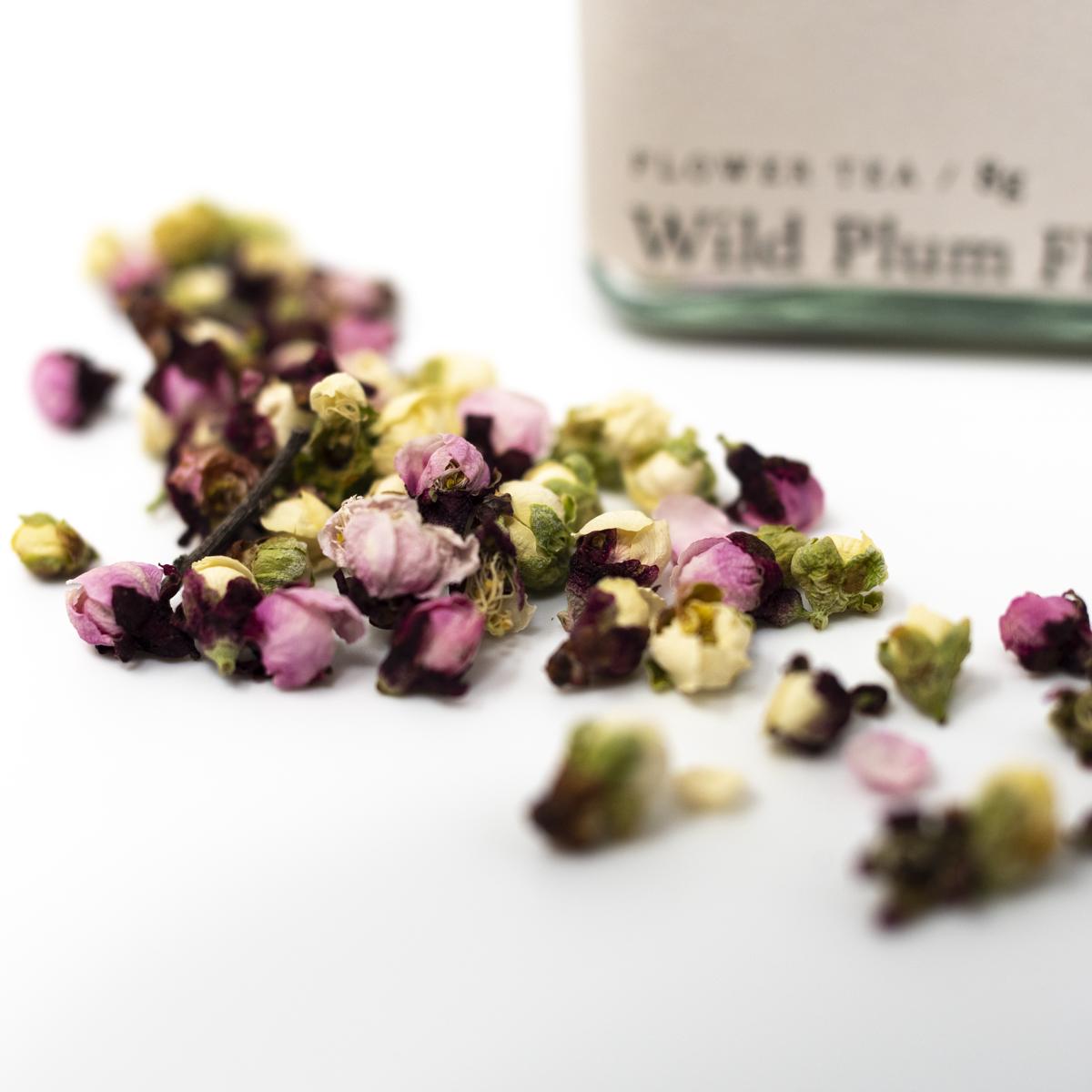 be oom wild plum tea closeup jar