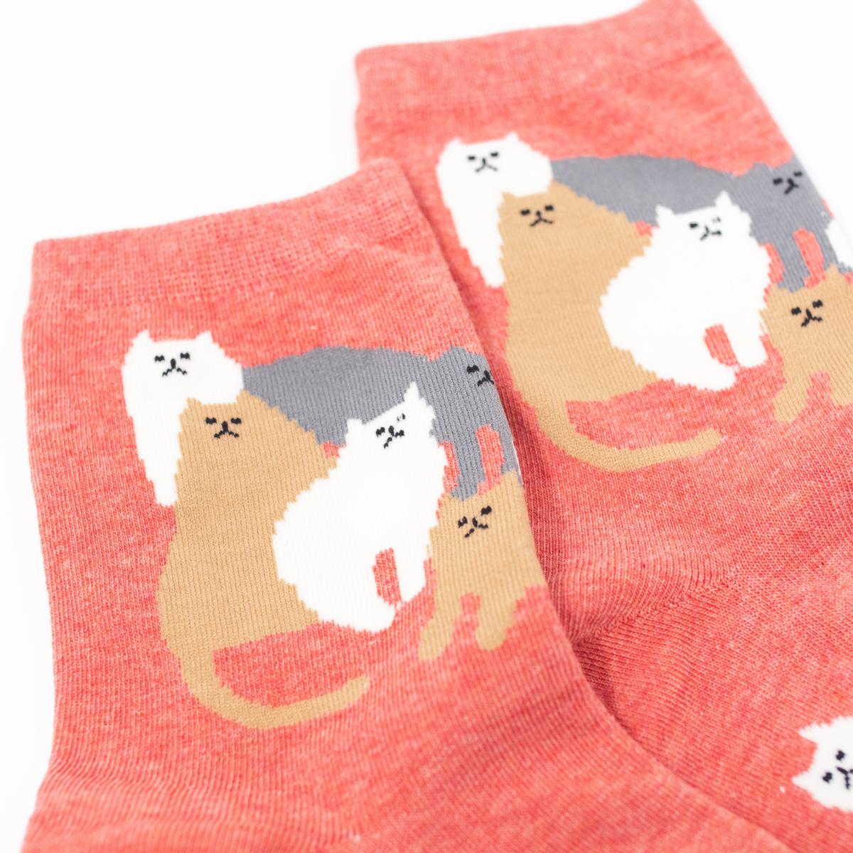 general red cat socks closeup