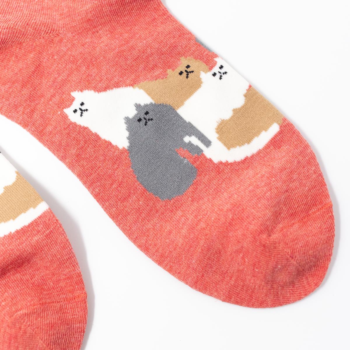 general red cat socks closeup toes
