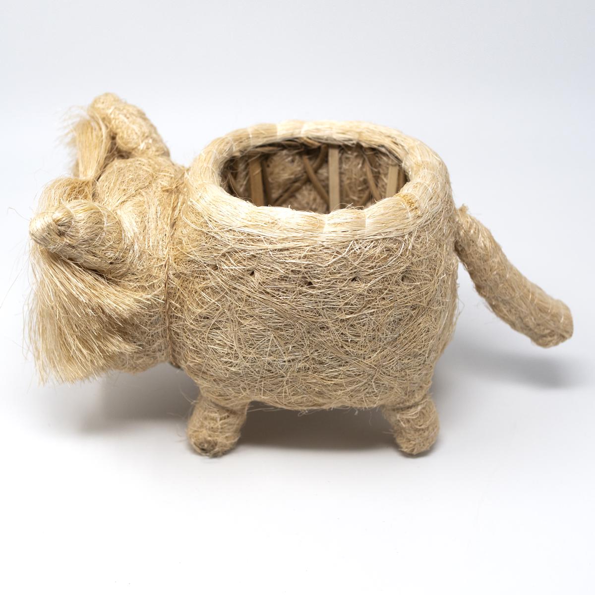 lihka white dog top side