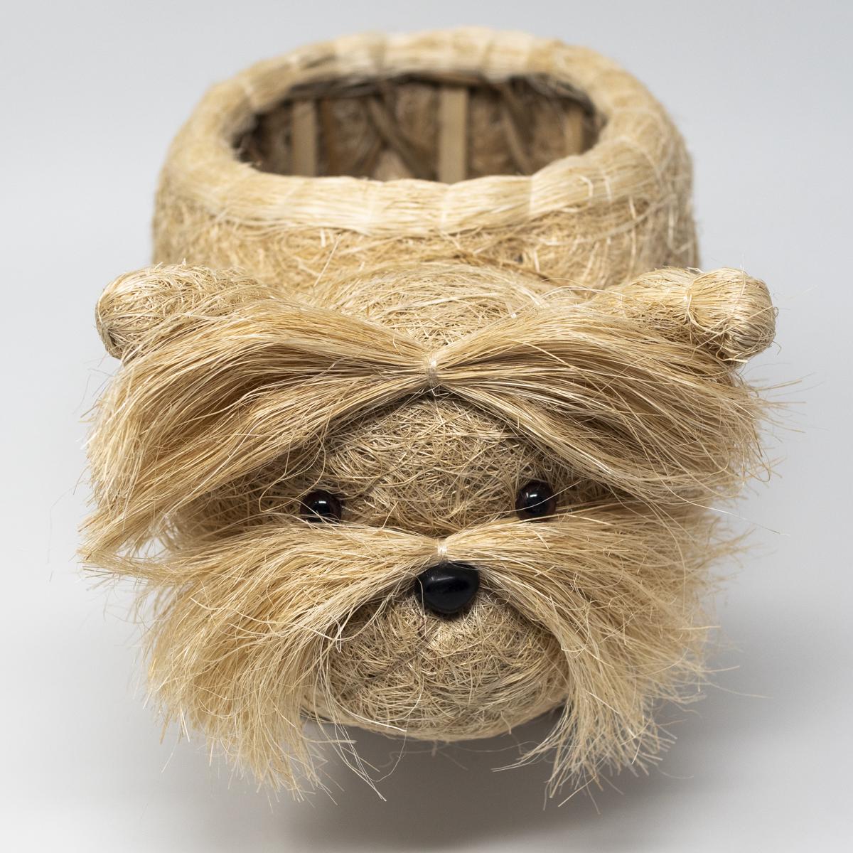 lihka white dog front top