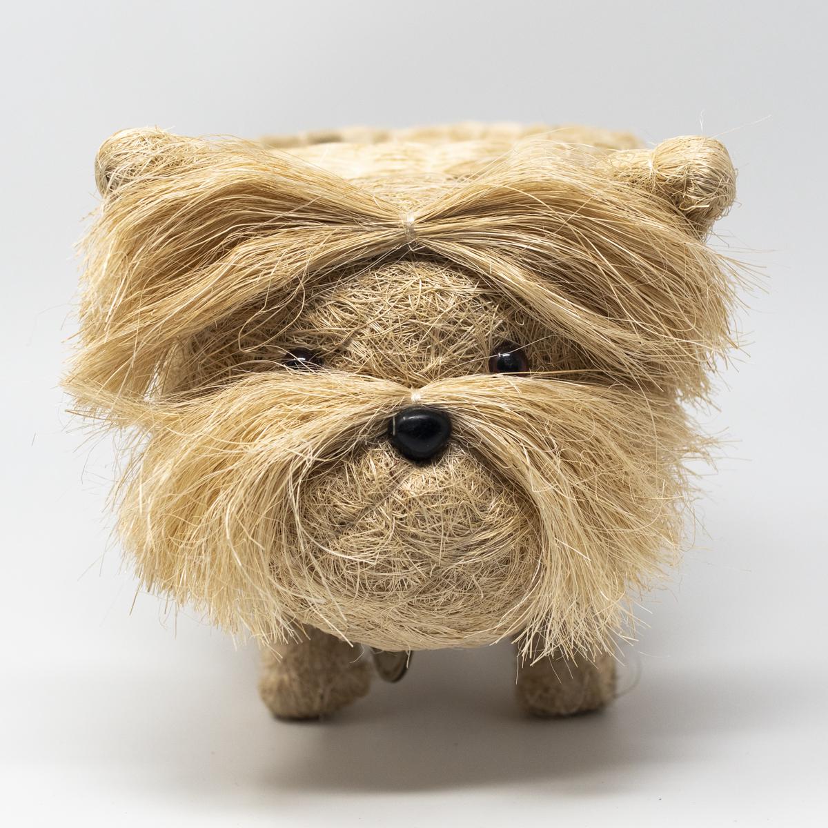 lihka white dog front