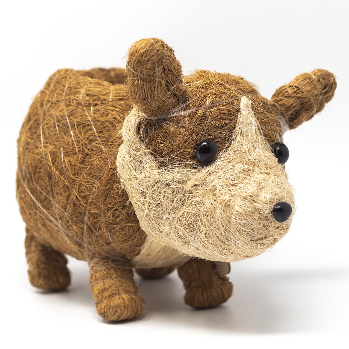 lihka brown front angle