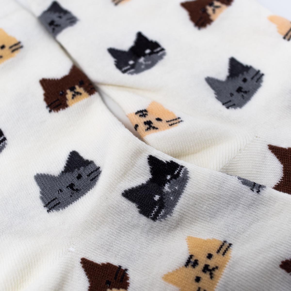 general white cat socks closeup