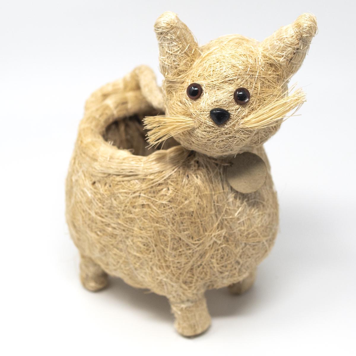 lihka cat front top angle