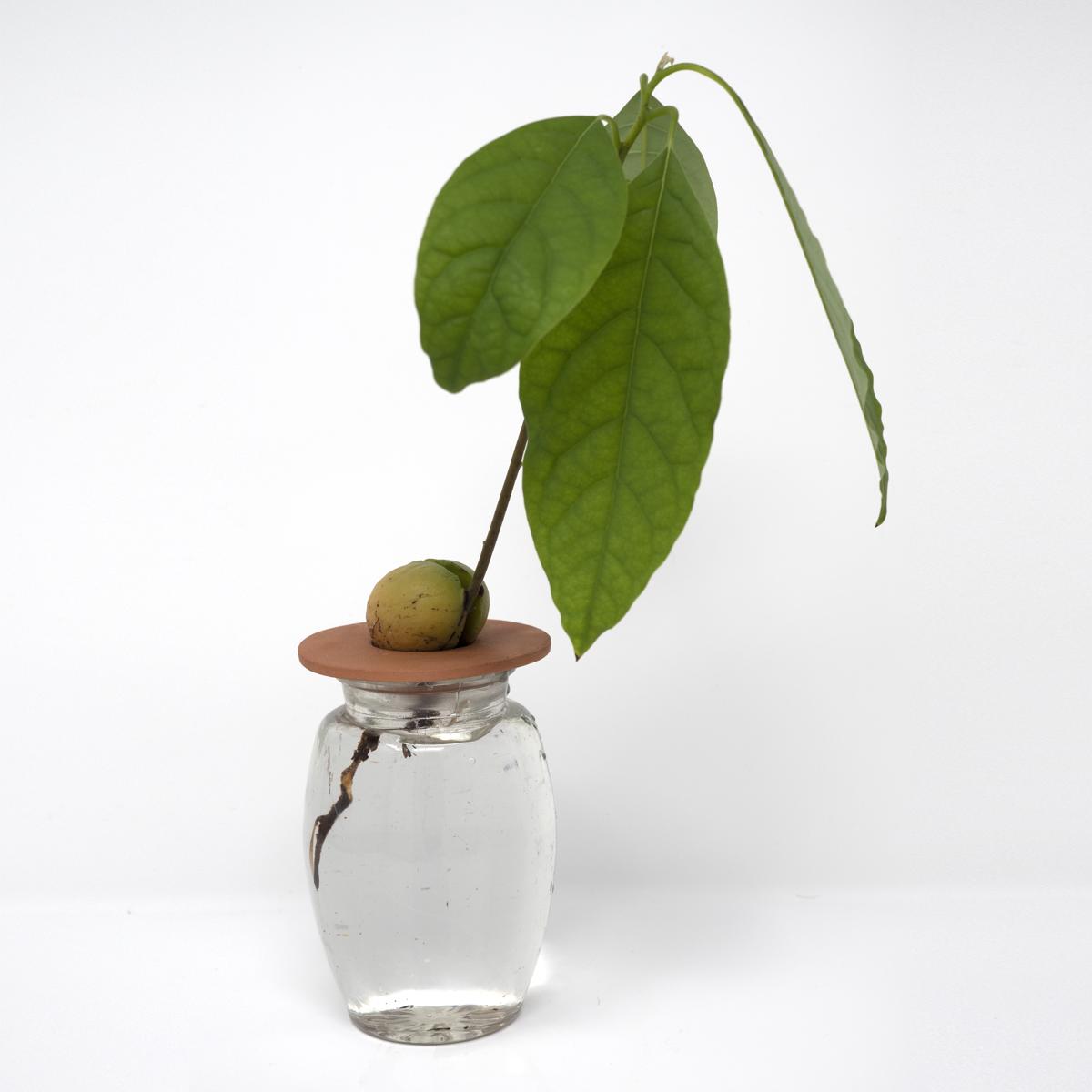 terracotta in jar