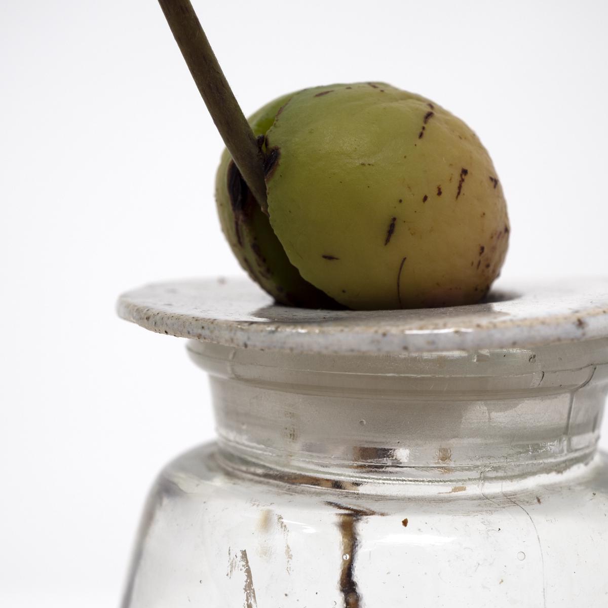 spotted in jar closeup