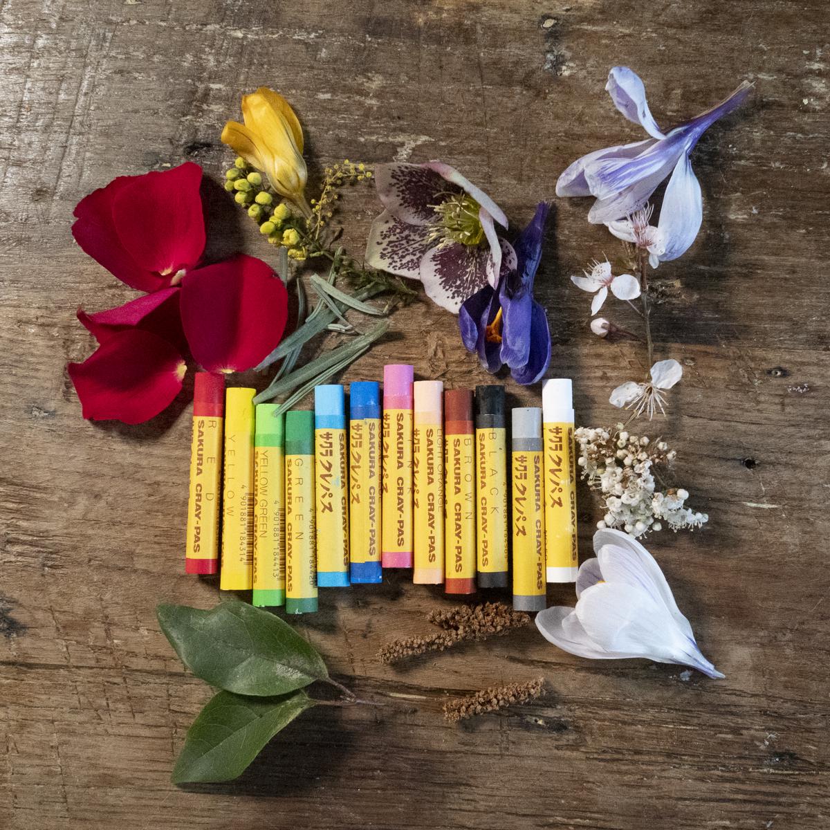 crayons lifestyle