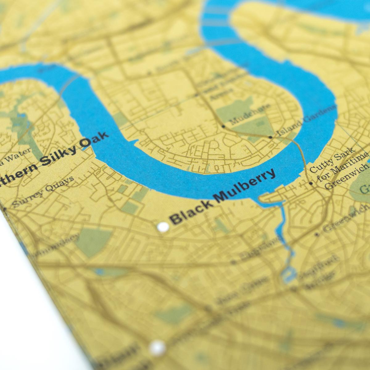 london trees map closeup