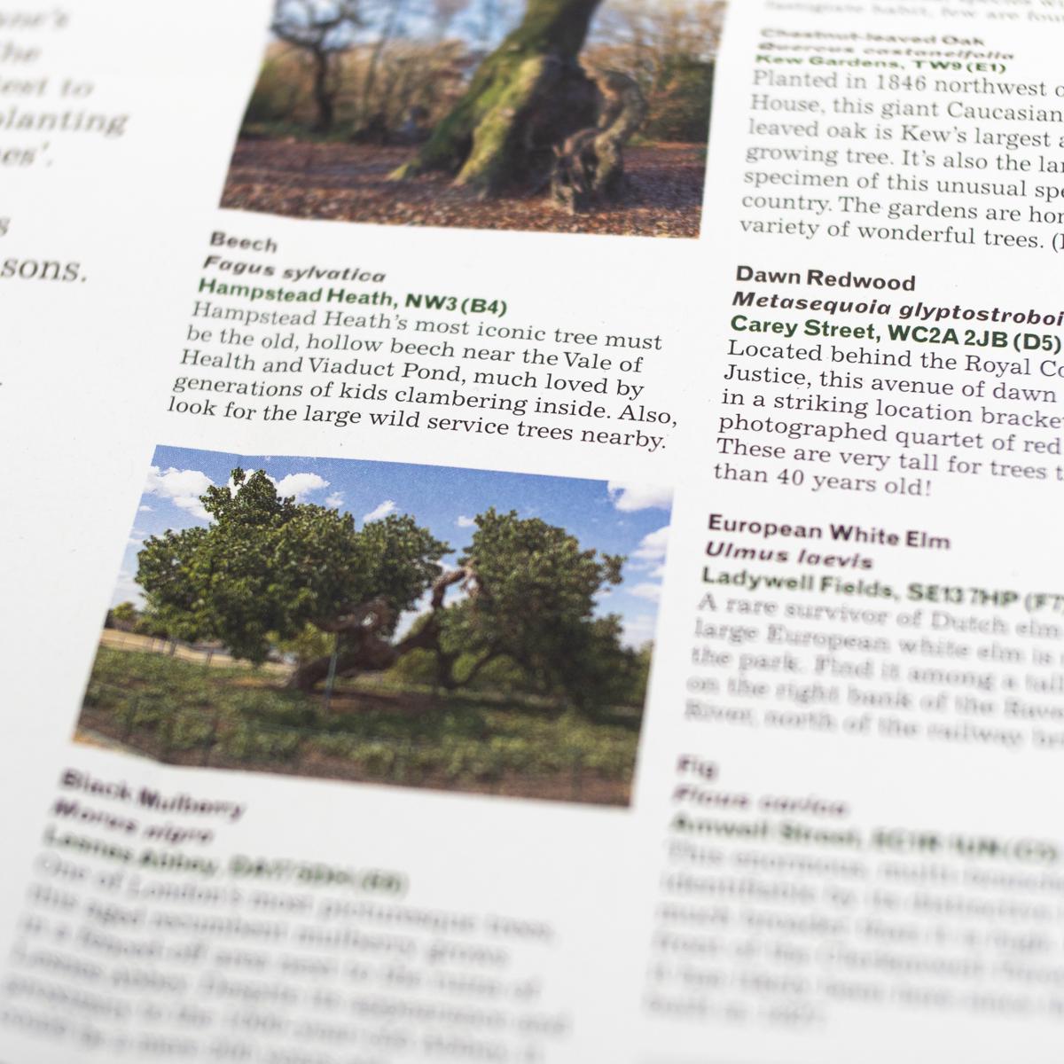 london trees map closeup reverse