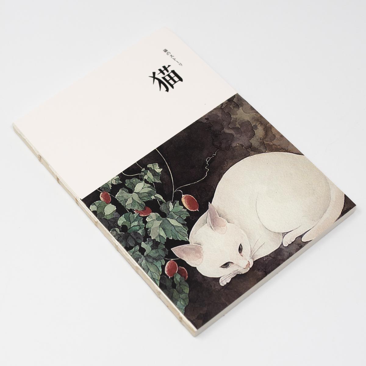 general white cat notebook top angle