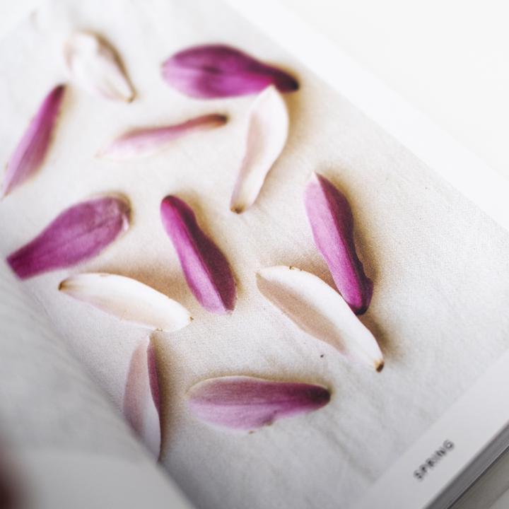 the urban forager inside one