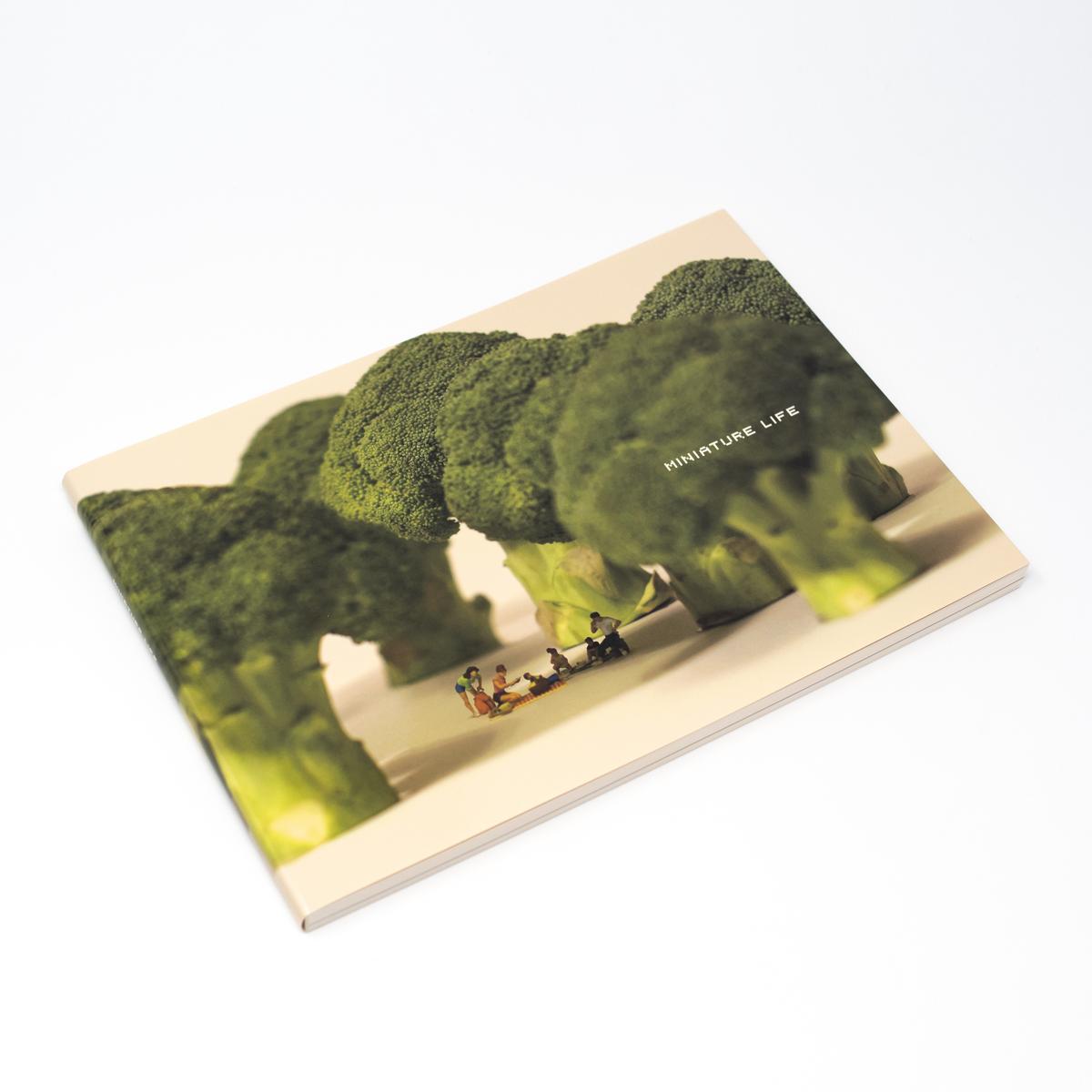 tatsuya tanaka miniature life angle
