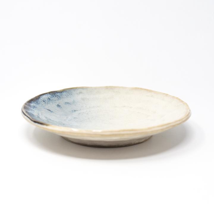 general ceramics blue white plate side