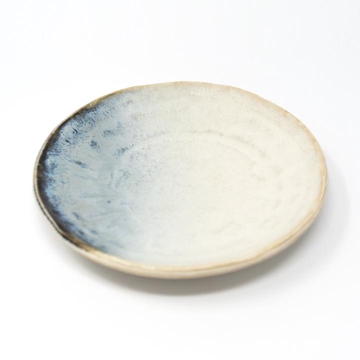 general ceramics blue white plate top angle