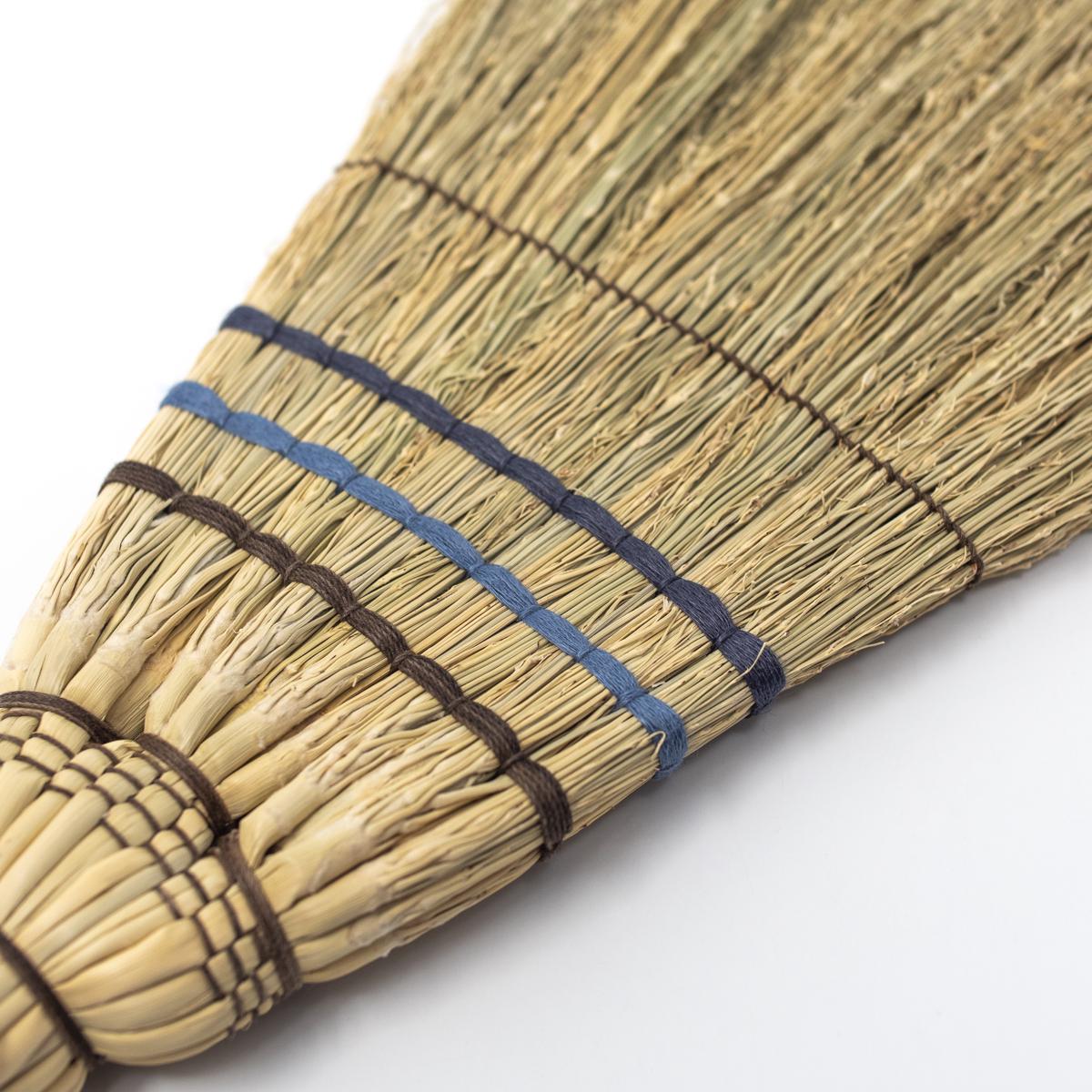 azusa large brown blue lblue closeup