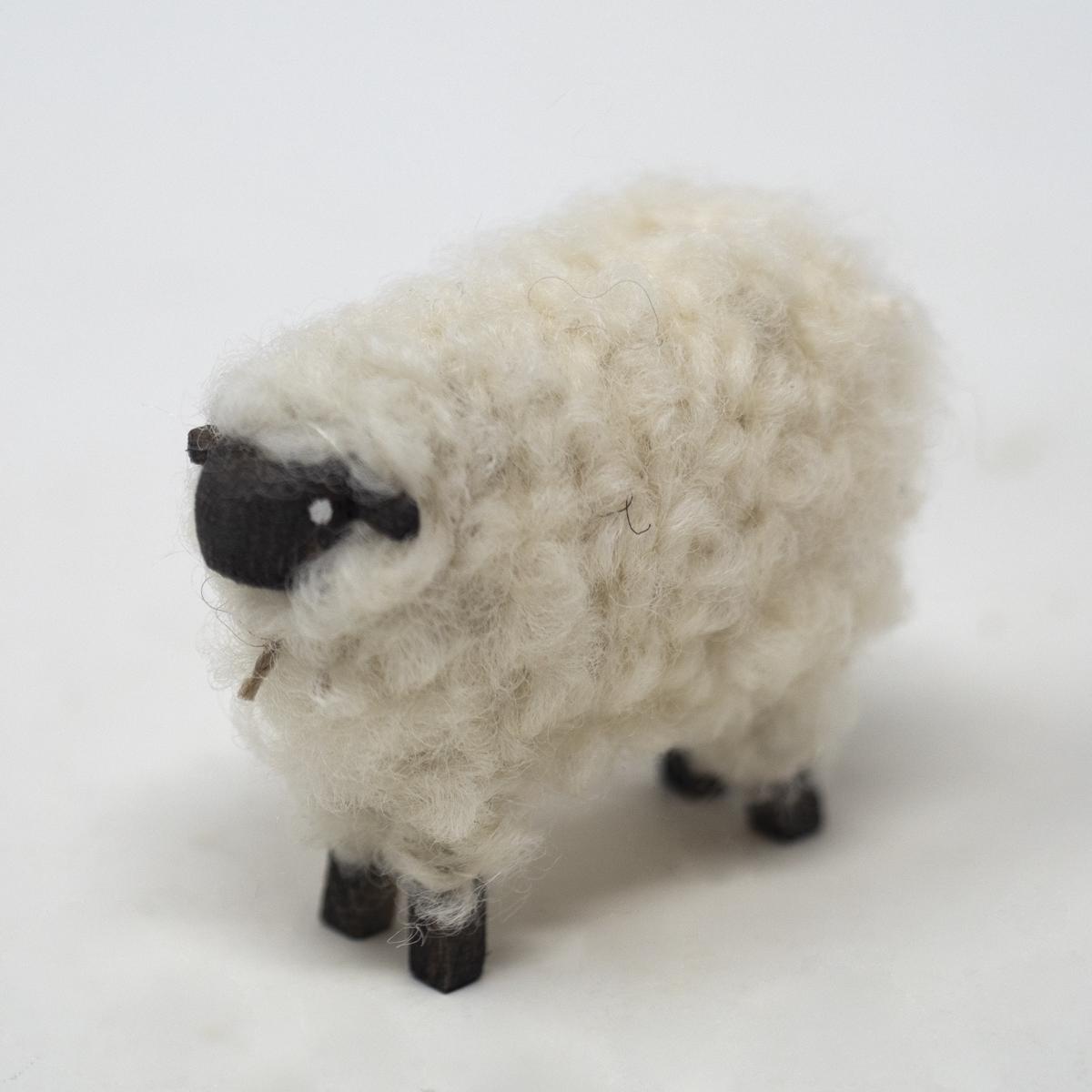 sheep black angle