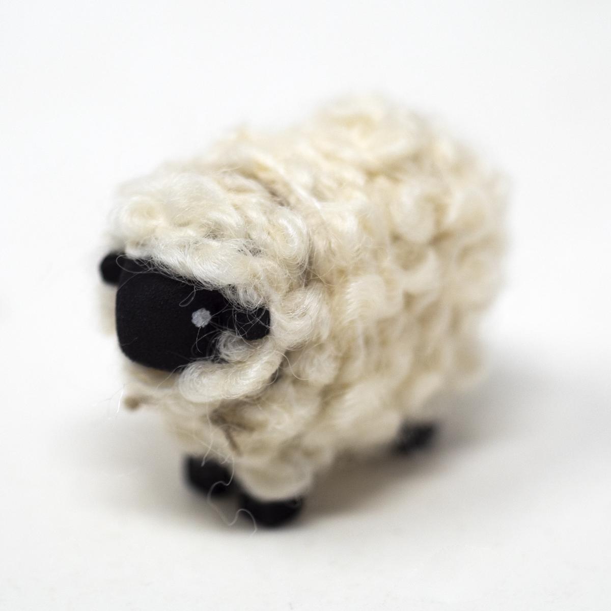 medium black sheep angle