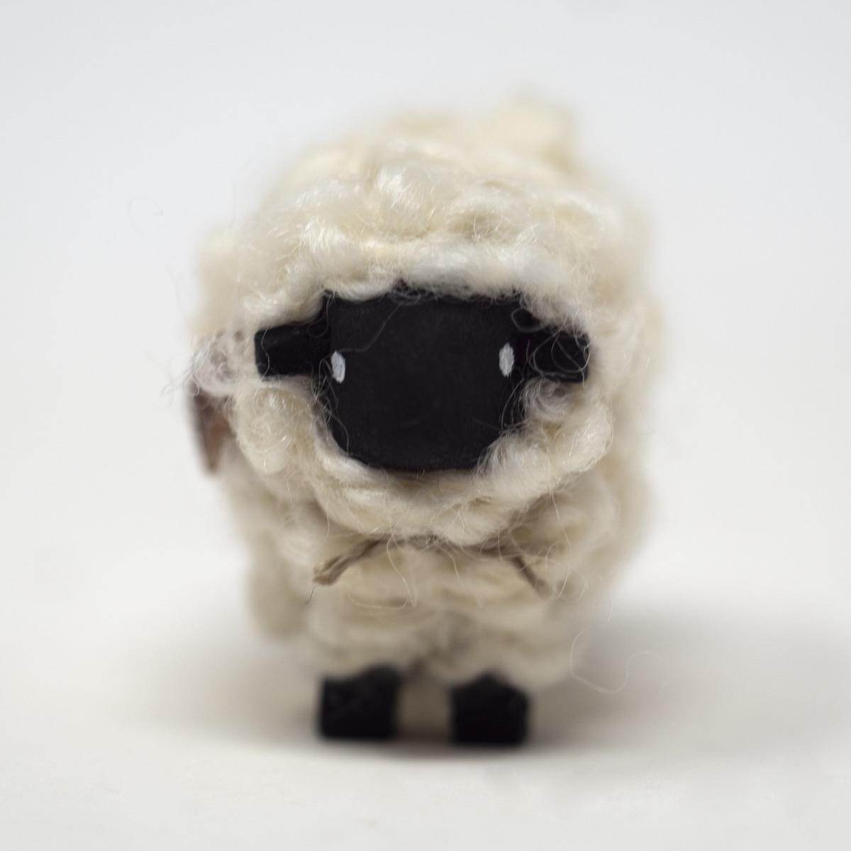 medium black sheep front