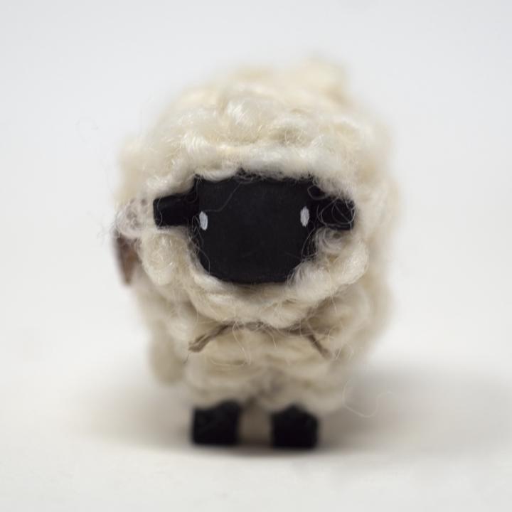 medium black sheep front