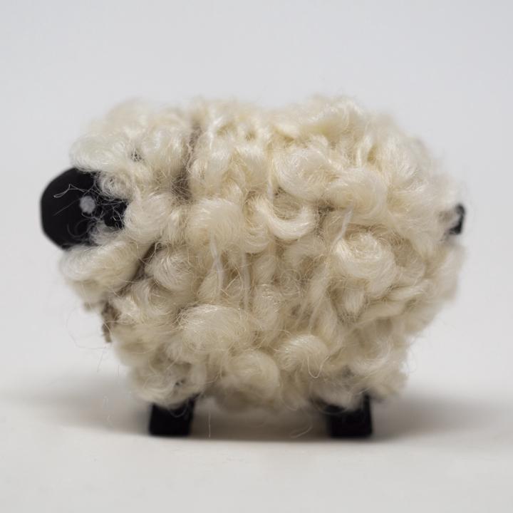 medium black sheep side