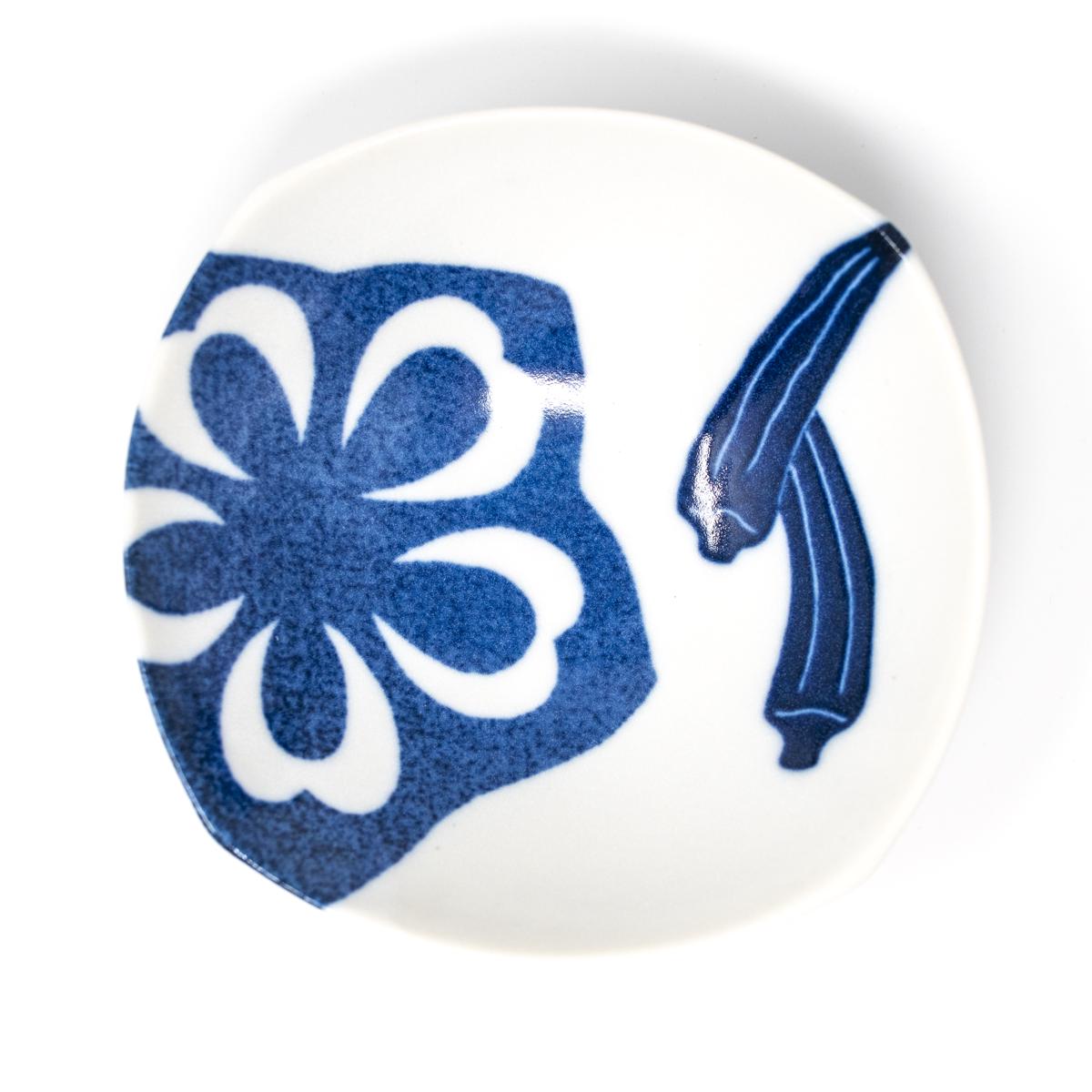 super blue dish 6 top
