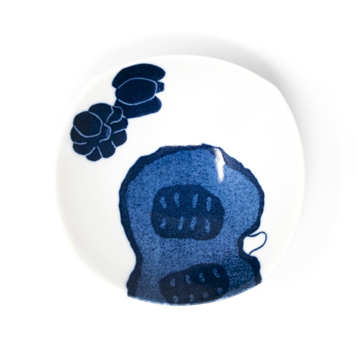 super blue dish 3 top