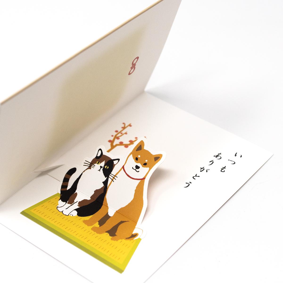 active corporation dog and cat inside
