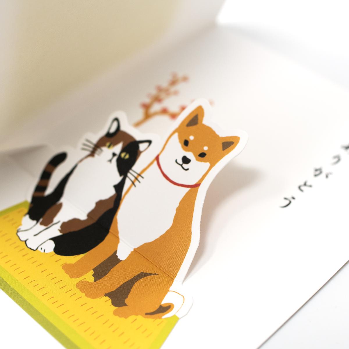 active corporation dog and cat inside closeup