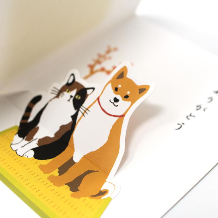 active corporation dog and cat inside closeup