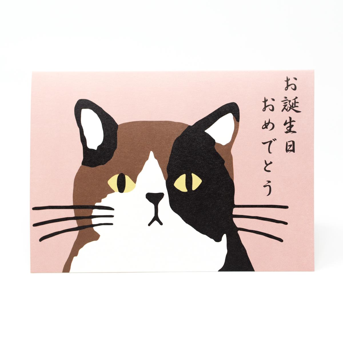 active corporation cat happy birthday front