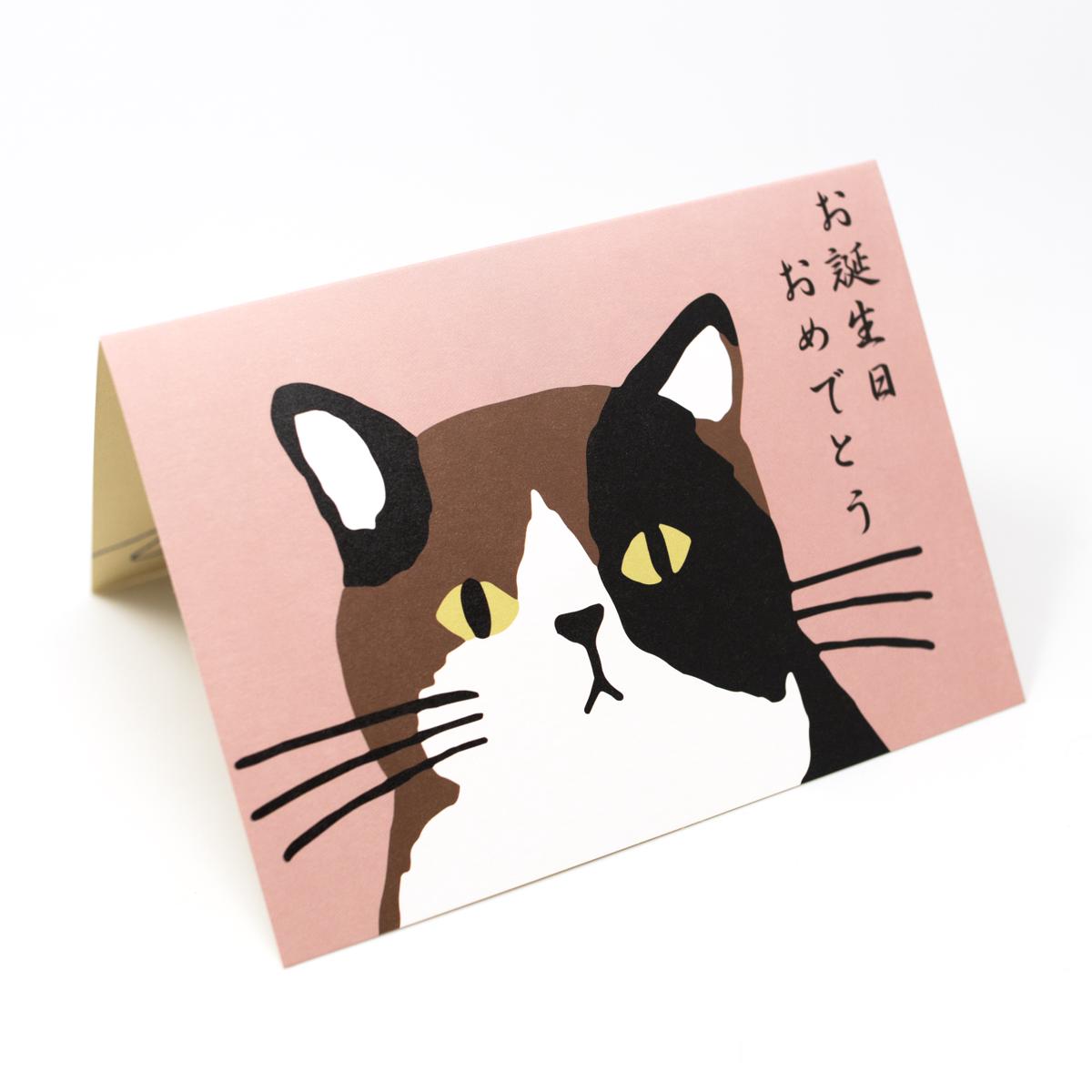 active corporation cat happy birthday
