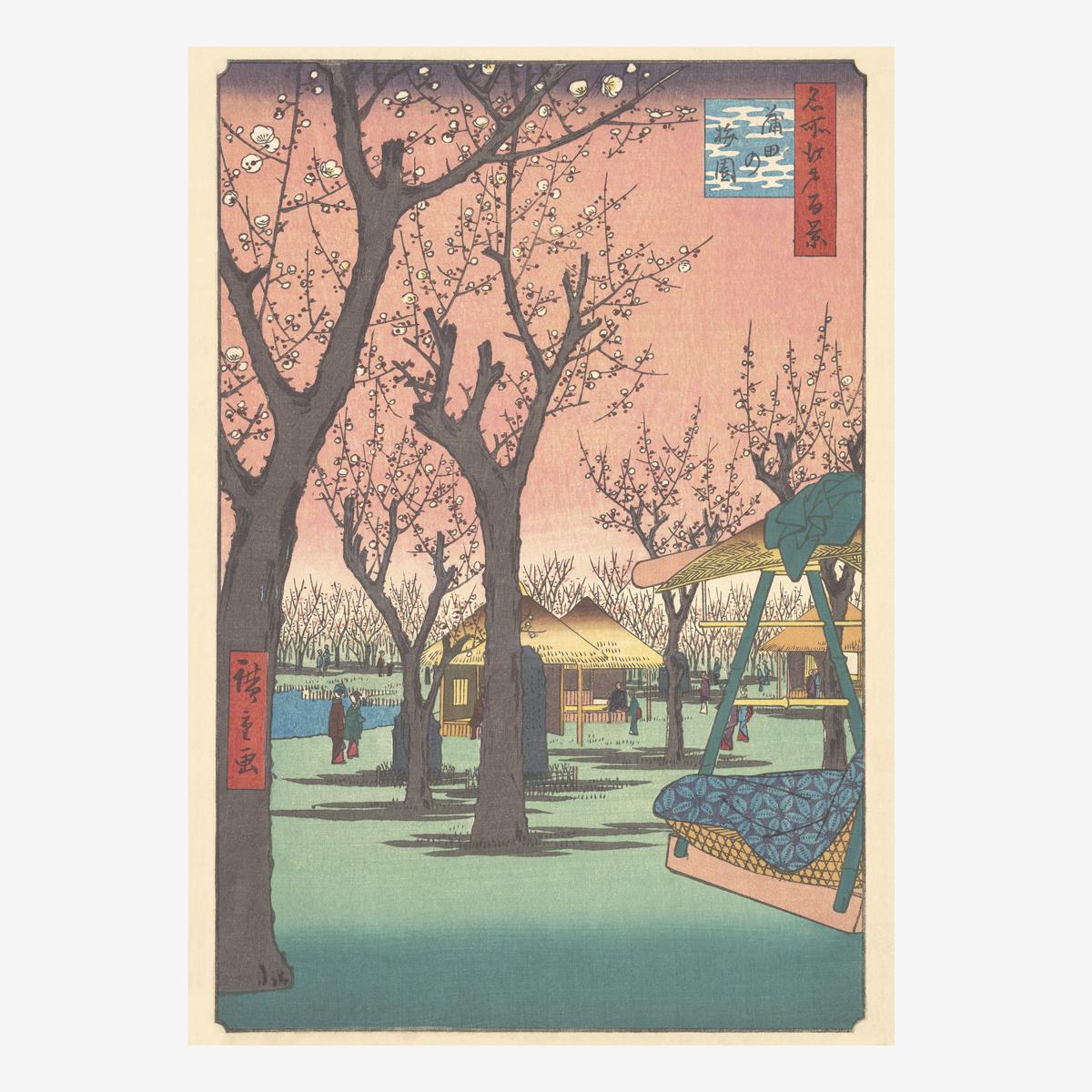own brand plum garden