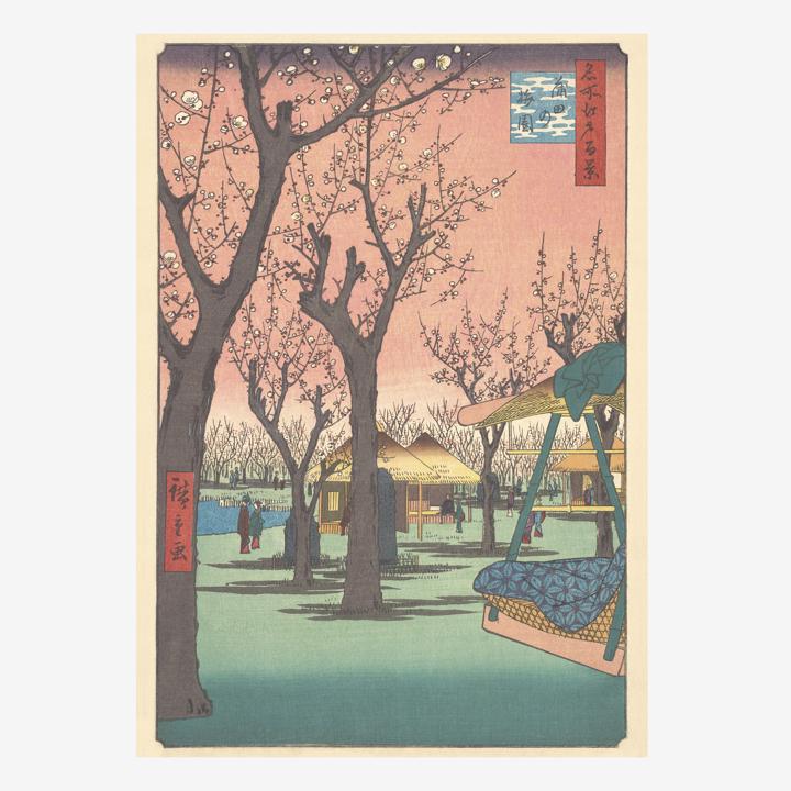 own brand plum garden