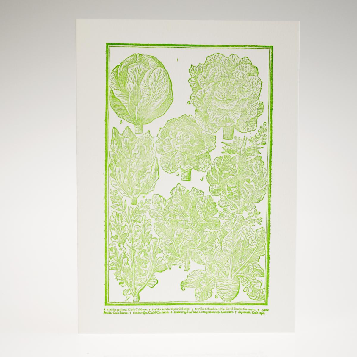 veg card