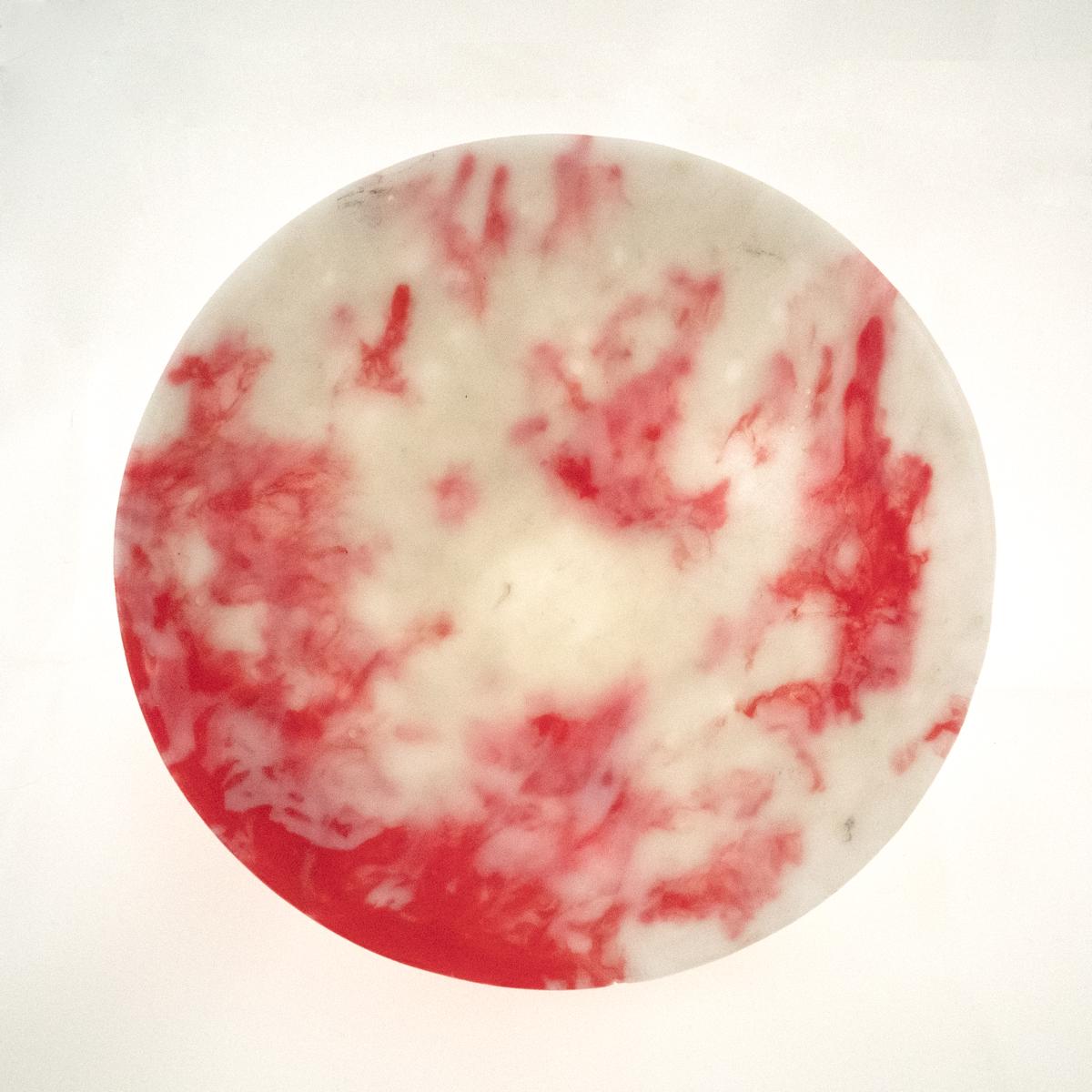 red plastic dish top