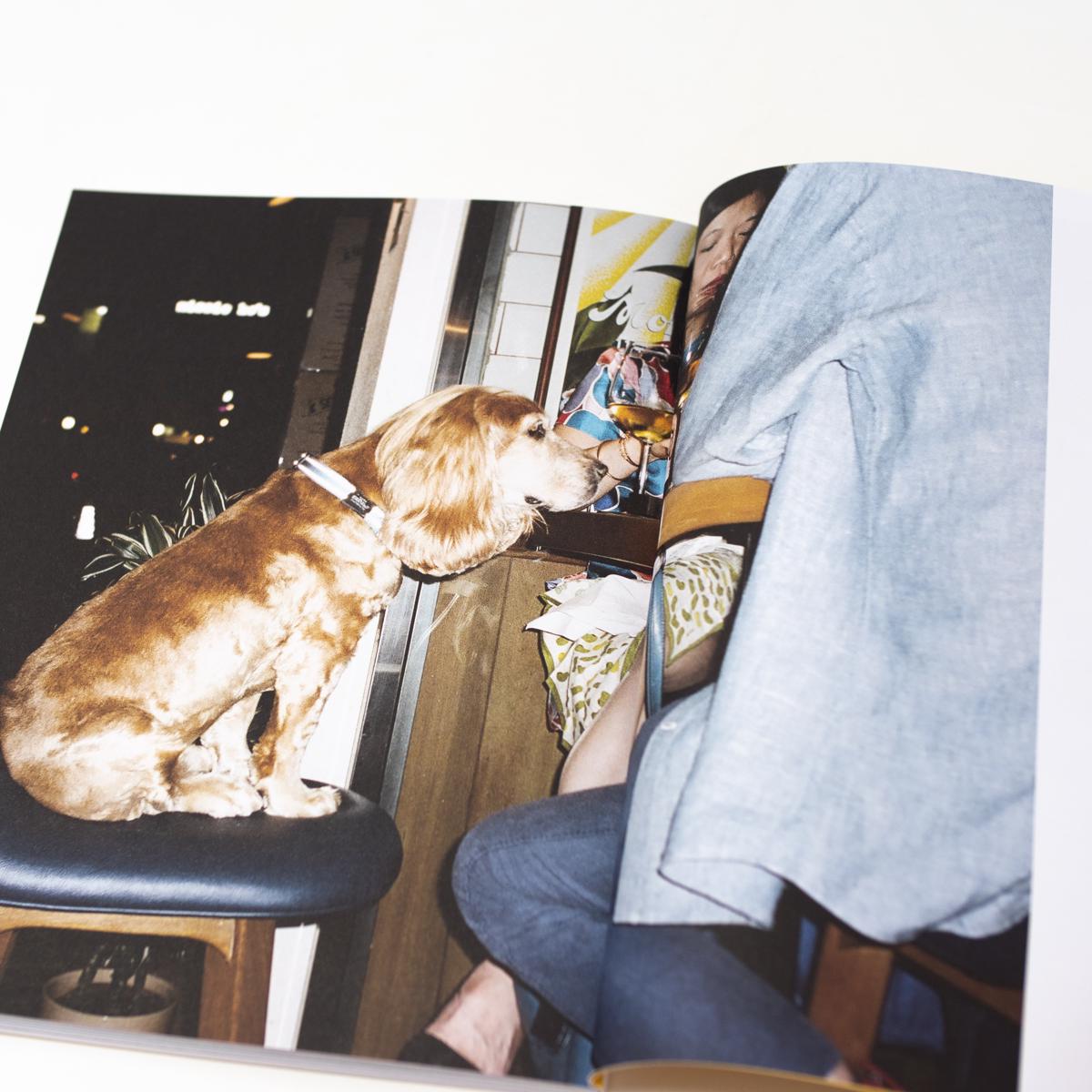 dog mag pom inside 2