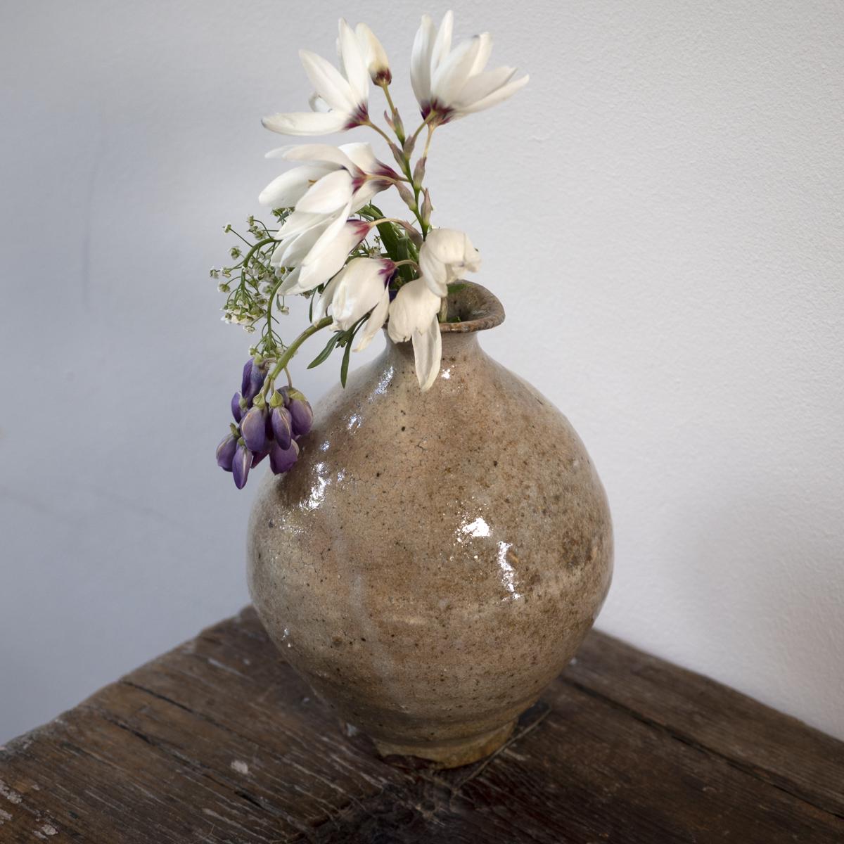 sea floor pot
