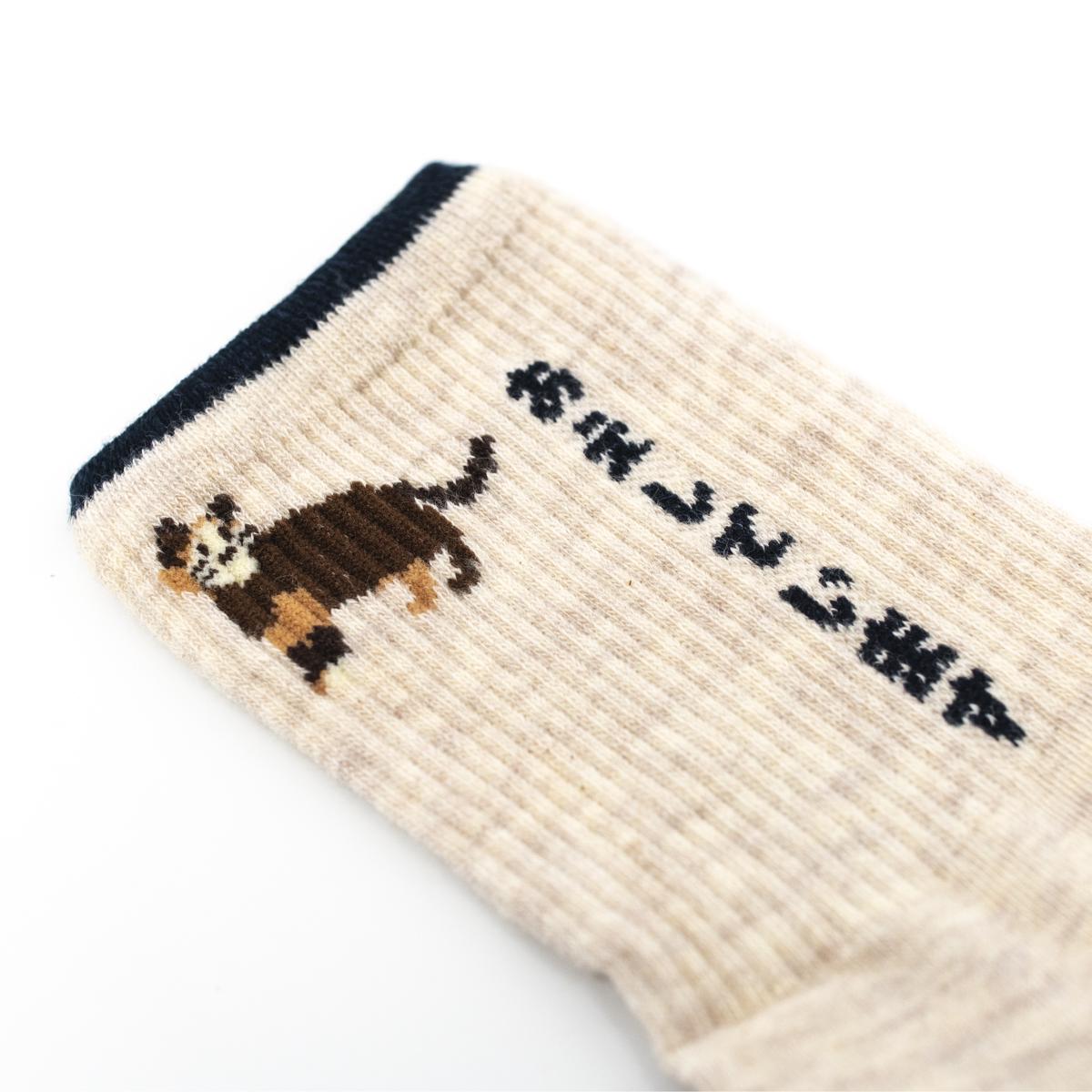 general white cat socks closeup