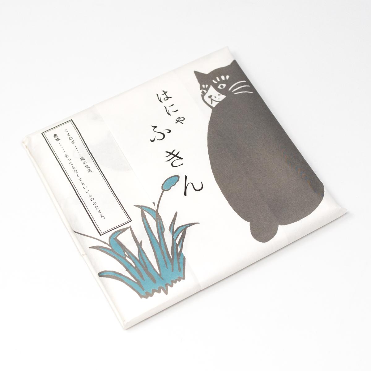 general cat washing up cloth blue 1