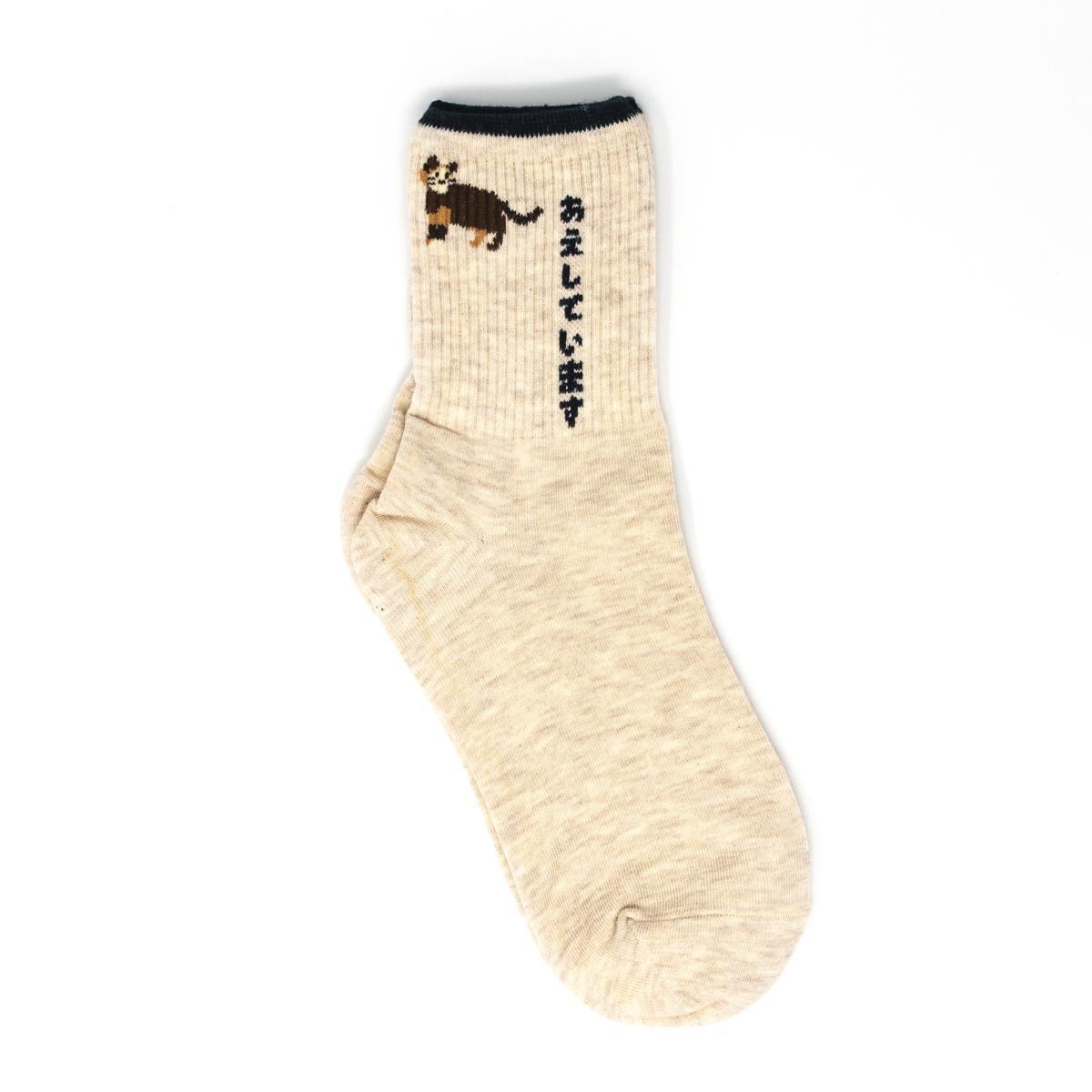general white cat socks