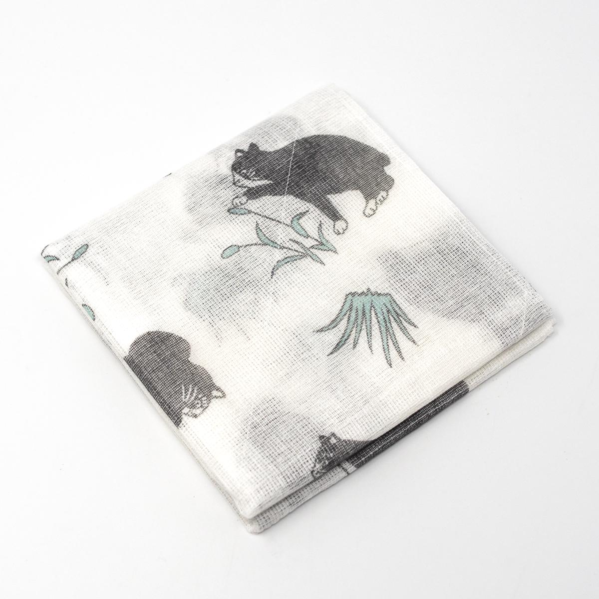 general cat washing up cloth blue open angle