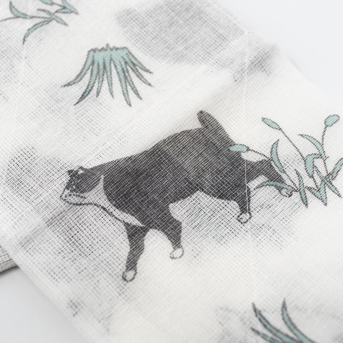 general cat washing up cloth blue open closeup
