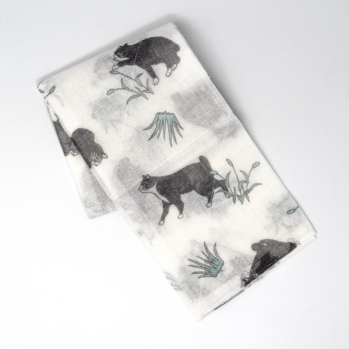 general cat washing up cloth blue open