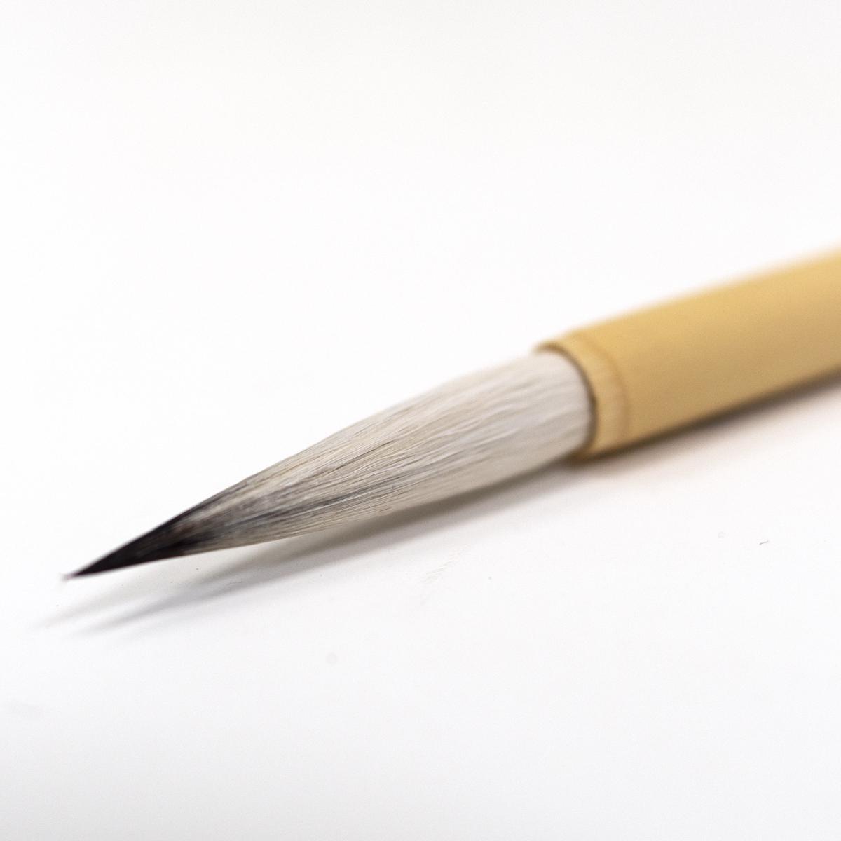 pigment brush closeup