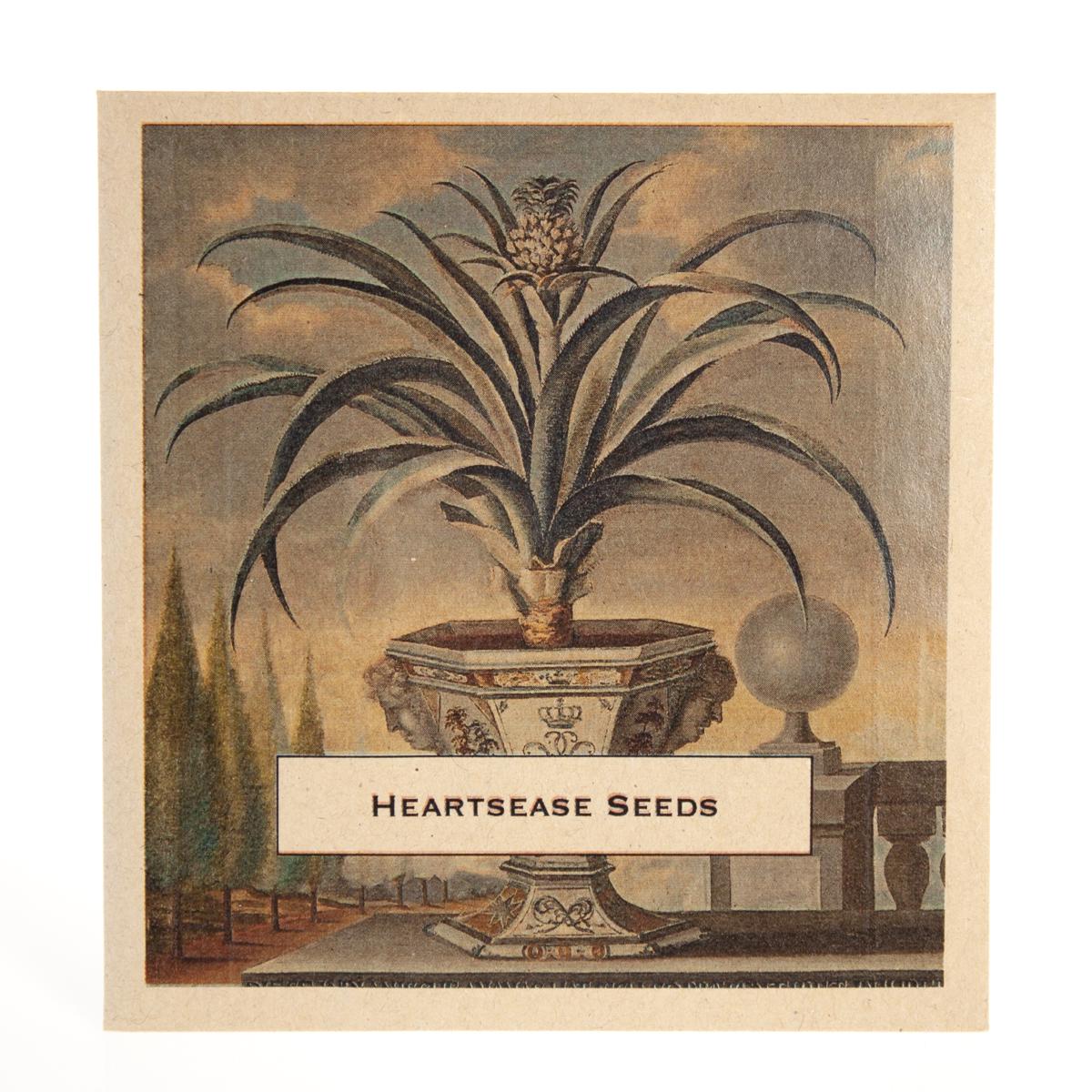 heartsease