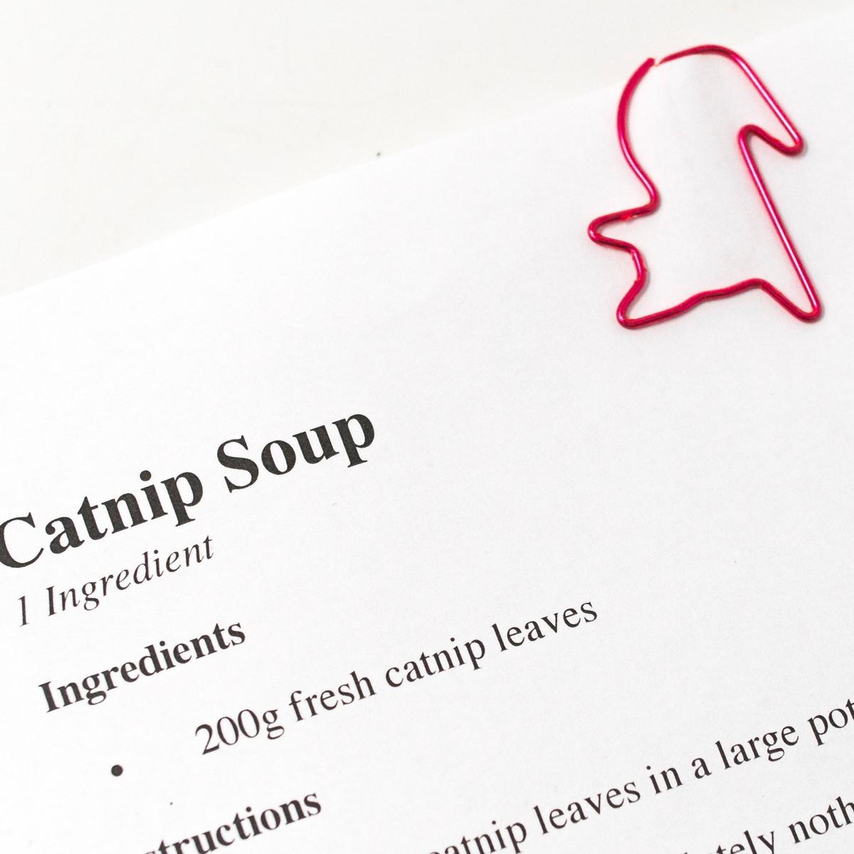 General cat paperclips