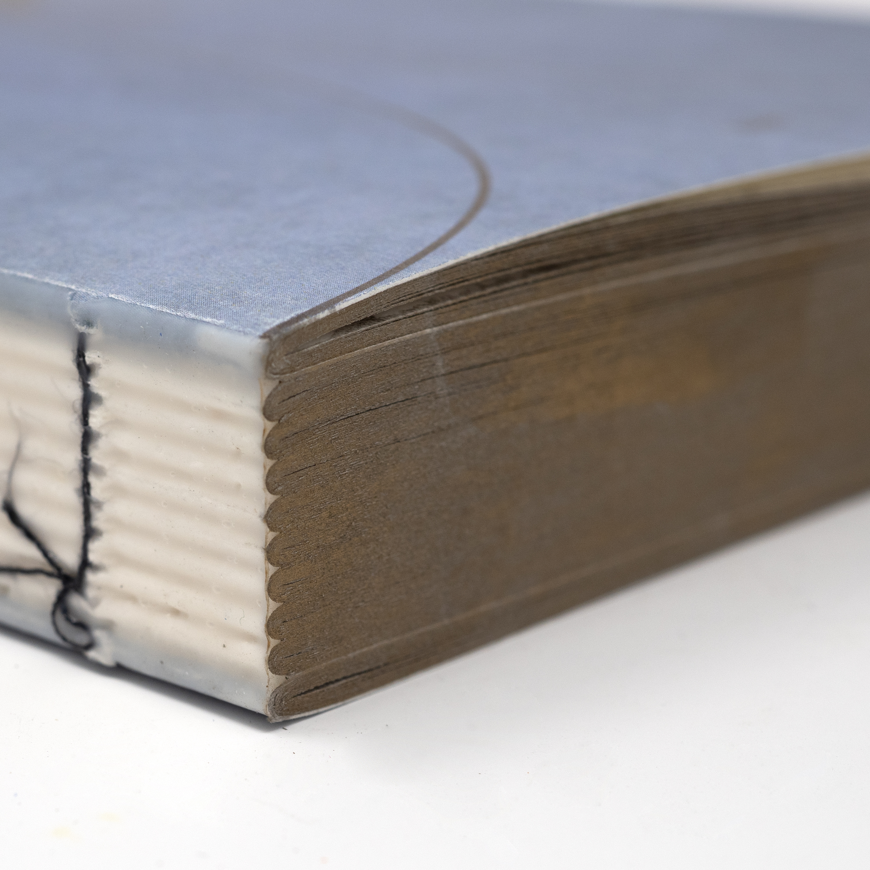 Image of Naturalis Historiae Notebook