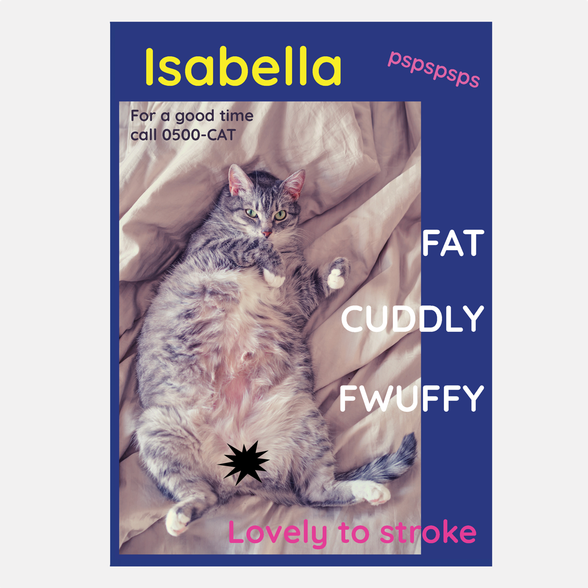 general cat card isabella