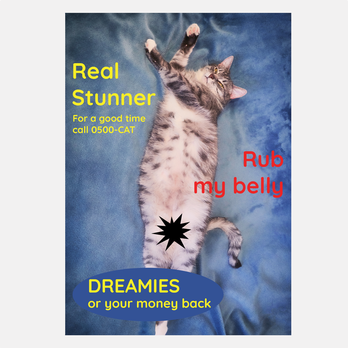 general cat card real stunner